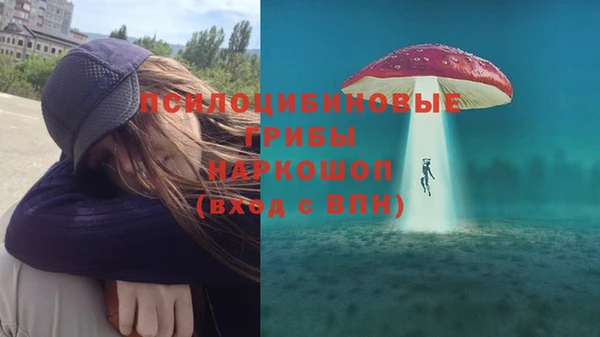 скорость Вяземский