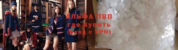 скорость Вяземский