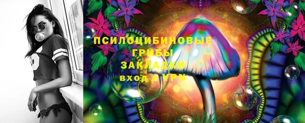 скорость Вяземский